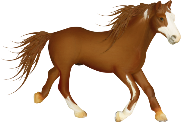 Лошадь для детей на прозрачном фоне