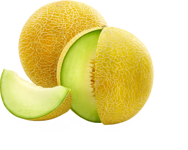 Kavun Melon дыня