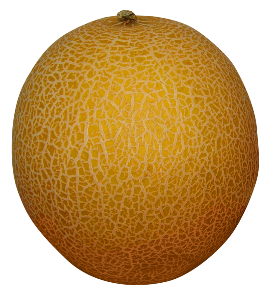 Дыня круглая