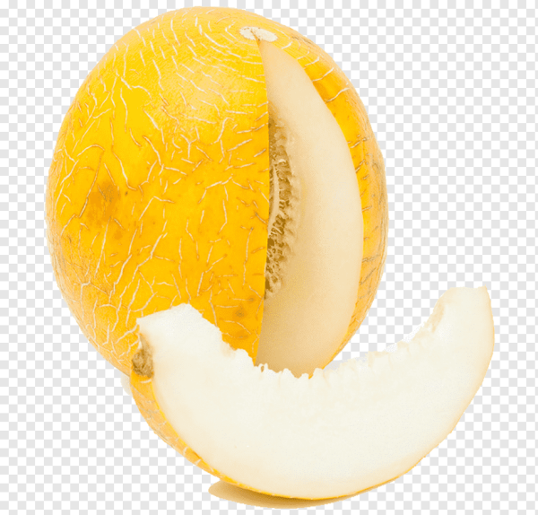 Дыня канталупа апельсин