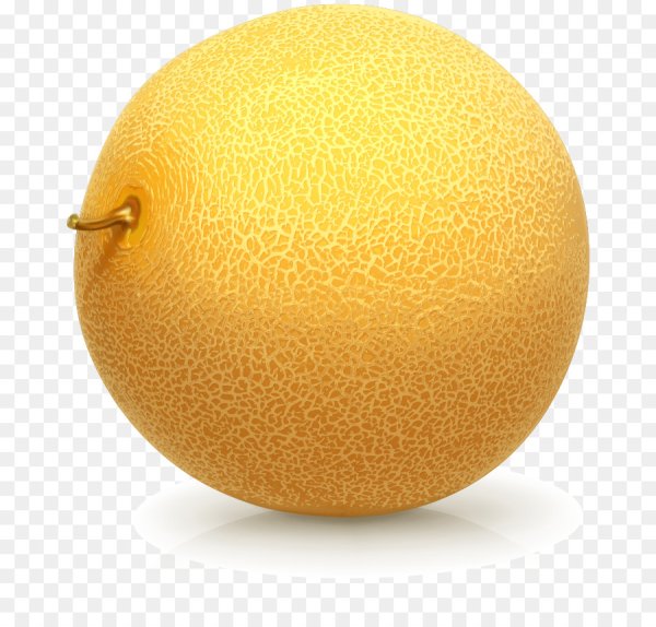 Дыня на белом фоне