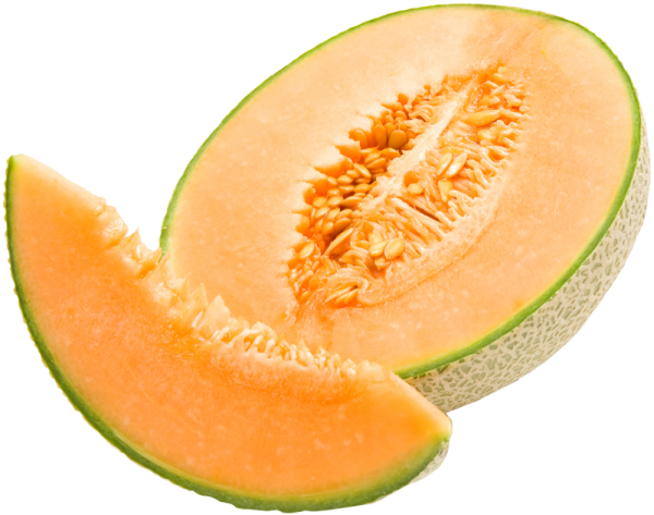 Дыня Melon