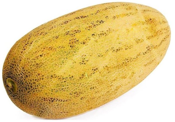 Дыня торпеда