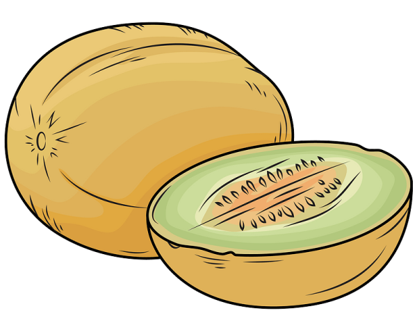 Дыня рисунок для детей