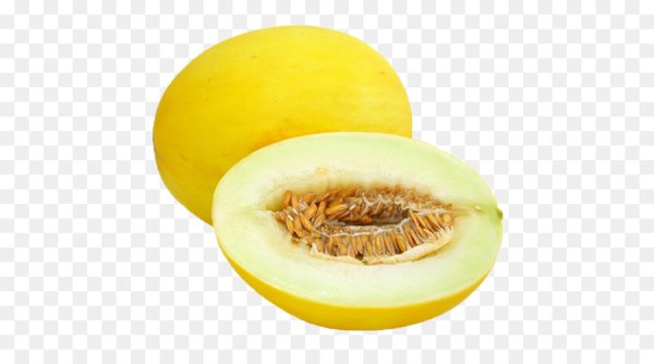 Дыня Хонайдью