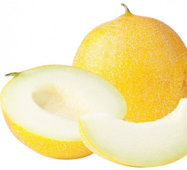 Фрукты дыня