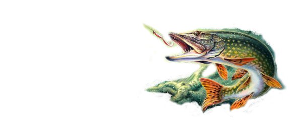 Щука для печати