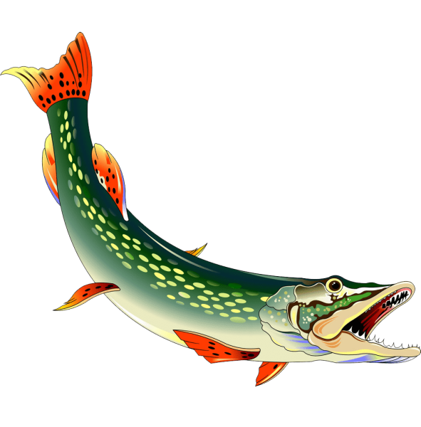 Щука мультяшный