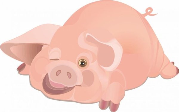 Свинья мультяшная