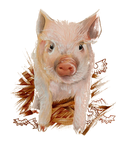 Свинка без фона