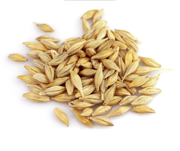 Ячмень орзо