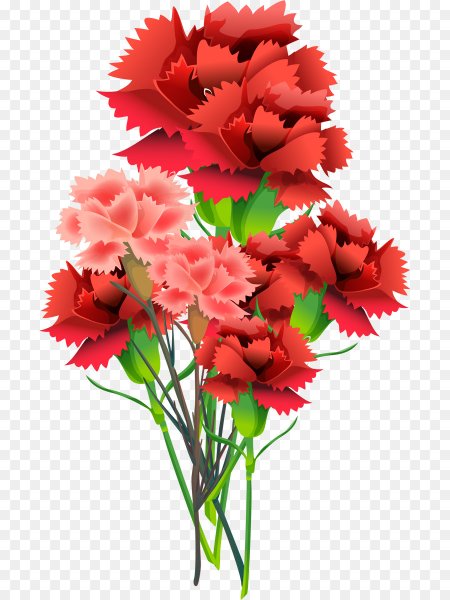 Гуллар гвоздика