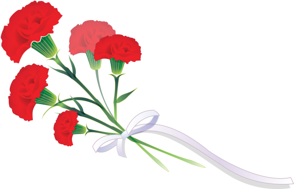 Гвоздики 9 мая