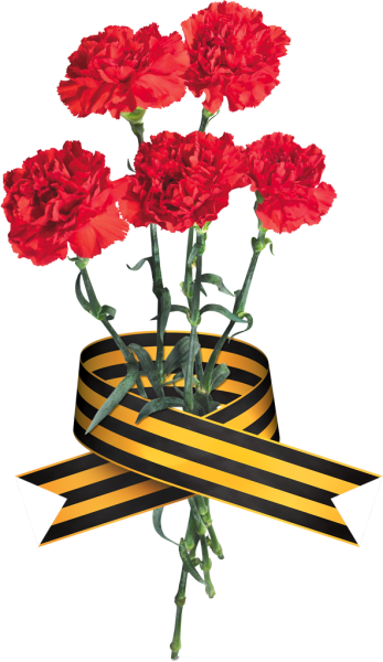 Георгиевская лента с гвоздикой