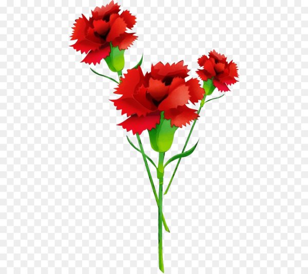 Гвоздики для детей