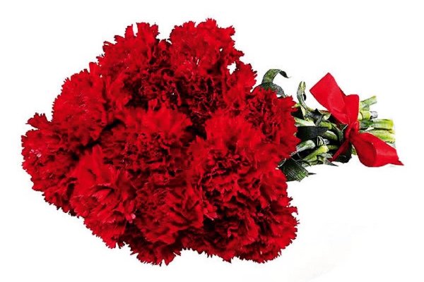 Букет красных гвоздик