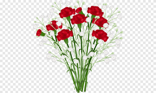 Букет гвоздик на прозрачной основе