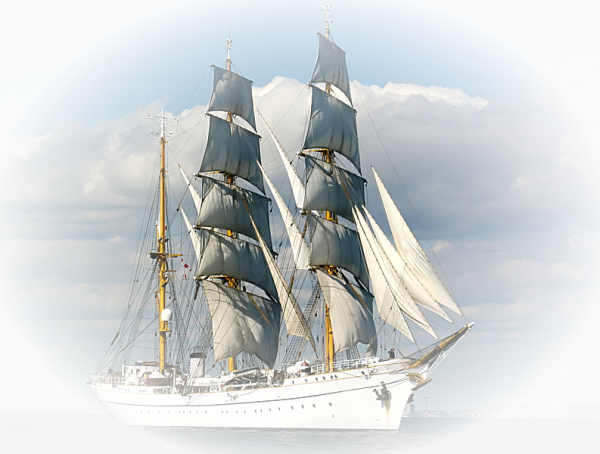 Парусник на прозрачном фоне