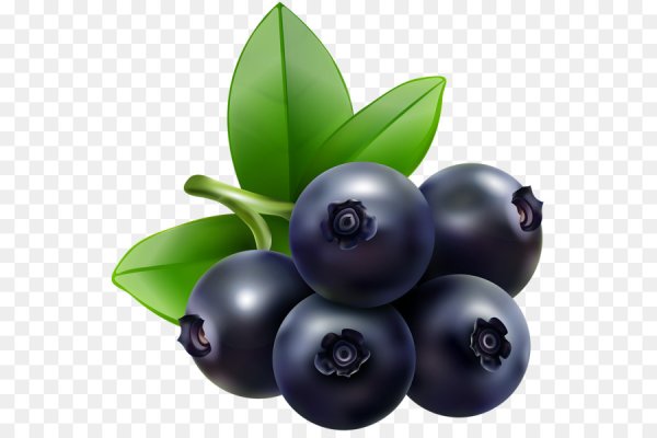 Черника для детей