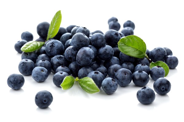 Bilberry extract