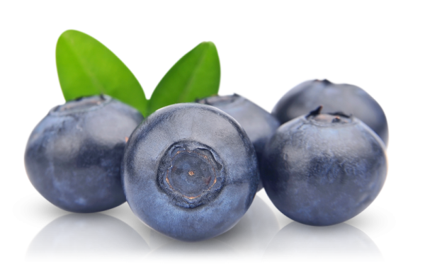 Черника ягода