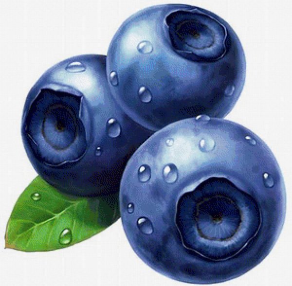 Черника мультяшная