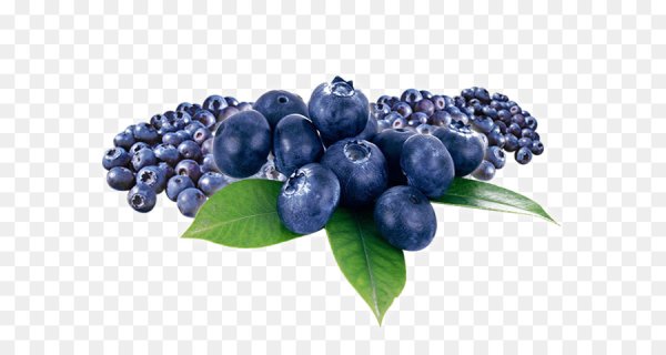 Куст черники на прозрачном фоне