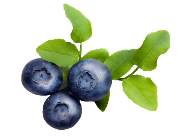 Черника сверху