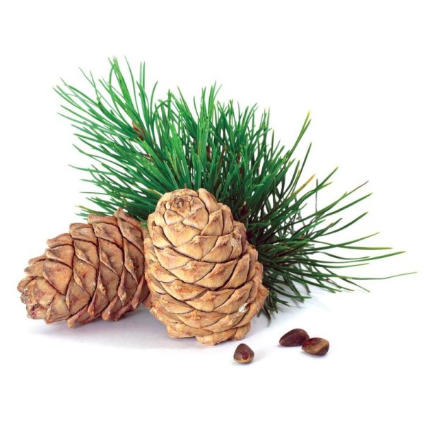 Шишка Кедровая с орехами