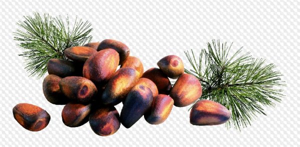 Кедровые орехи на белом фоне