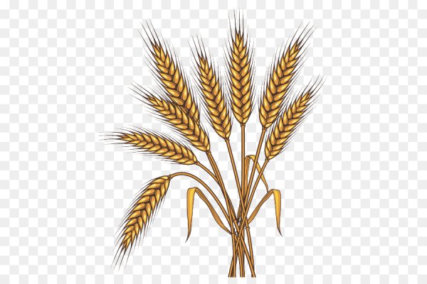 Колоски для детей