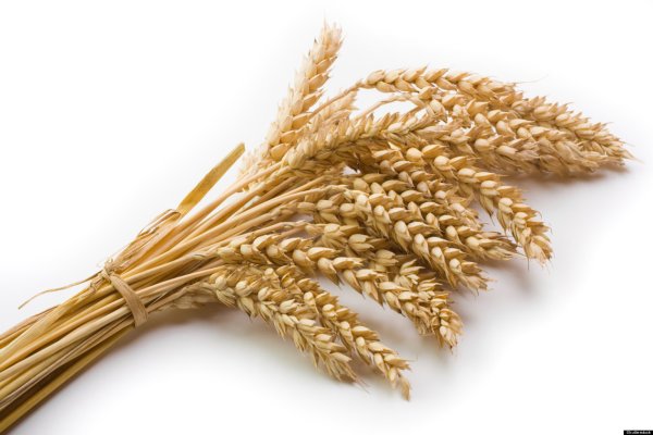 Пшеница Колос Колос