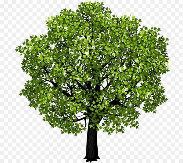 Осеннее дерево для детей