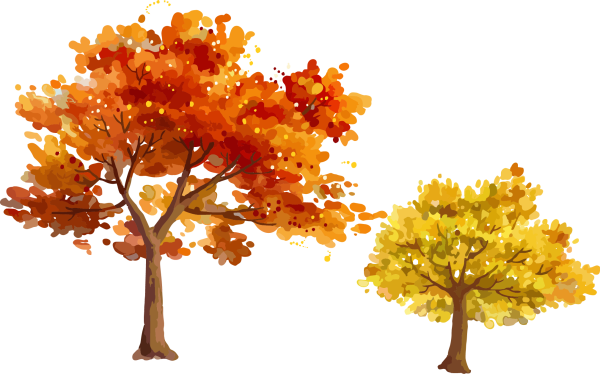 Дерево клен для детей