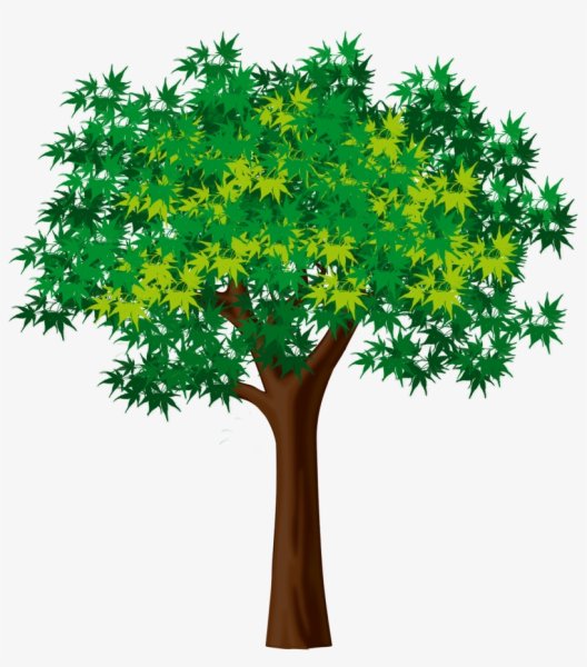 Осеннее дерево на прозрачном фоне