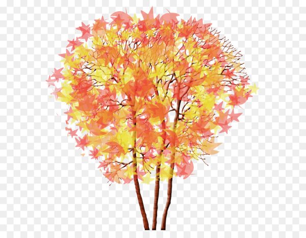 Ветка с желтыми листьями