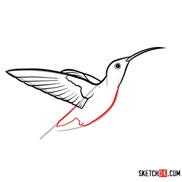 Колибри рисунок поэтапно
