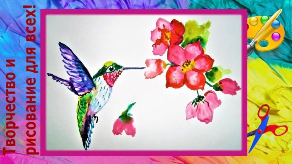 Колибри на цветке рисунок для начинающих