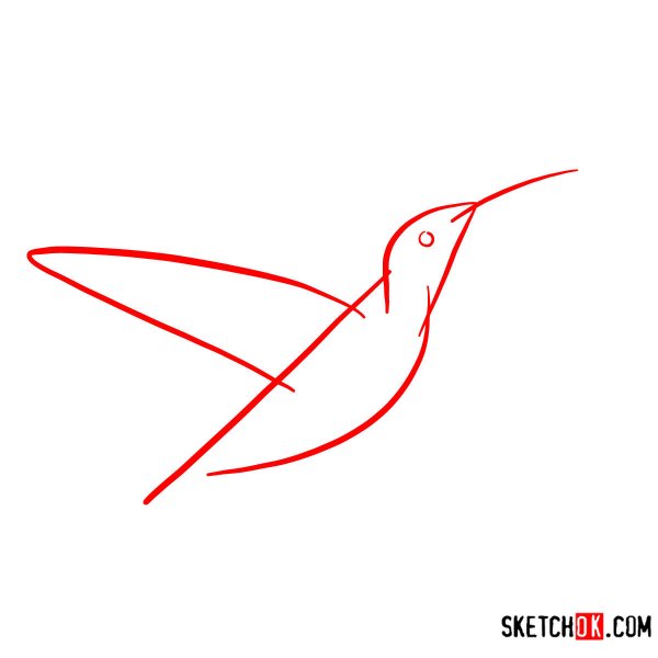 Колибри поэтапное рисование
