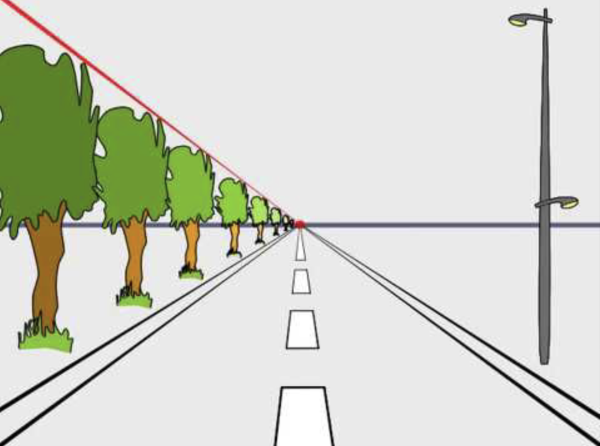 Линейная перспектива дорога и деревья
