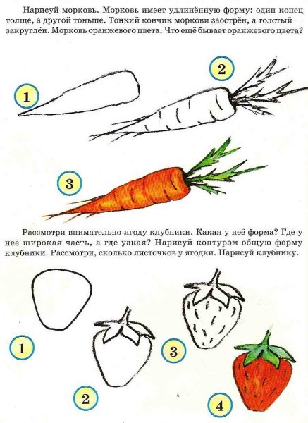 Поэтапное рисование морковки