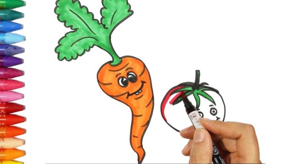Поэтапное рисование моркови