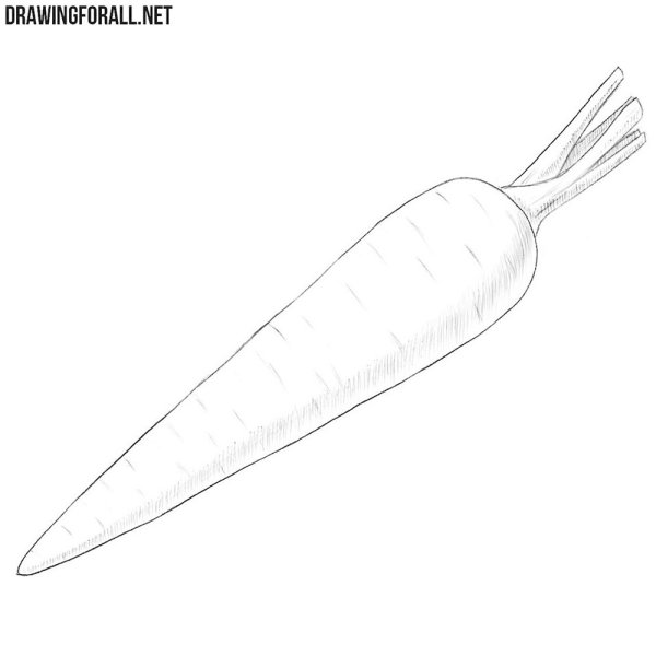 Поэтапное рисование морковки