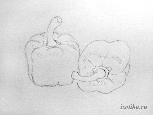 Перец карандашом