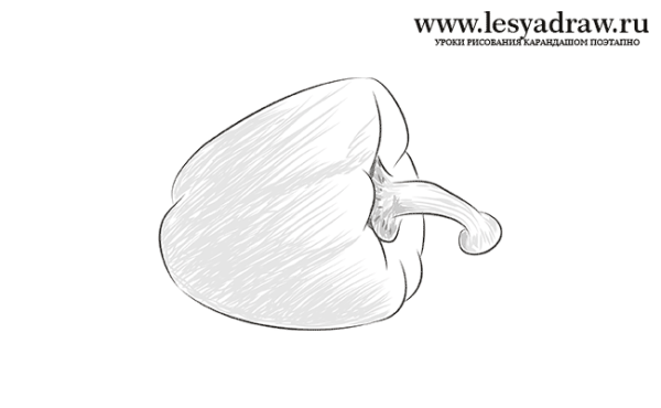 Перец рисунок карандашом