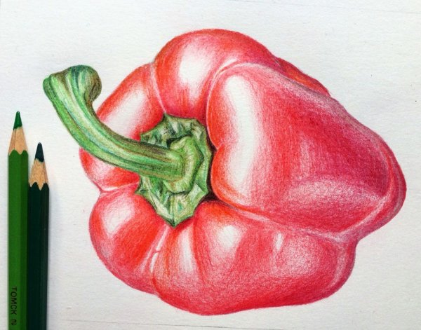 Рисование овощи