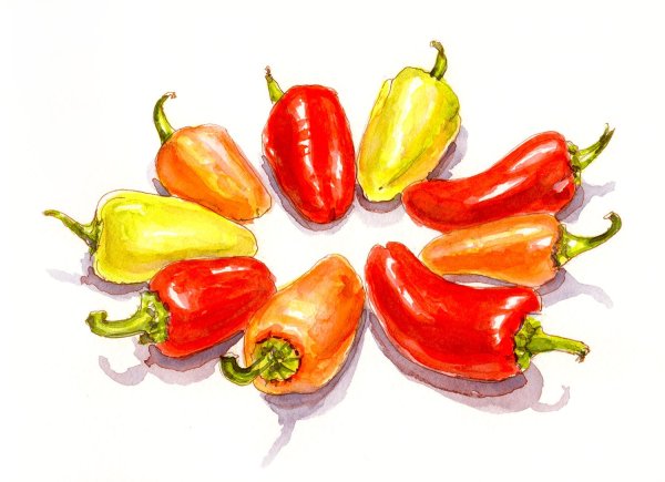 Перец акварелью