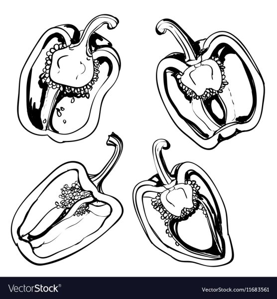 Перец в разрезе вектор