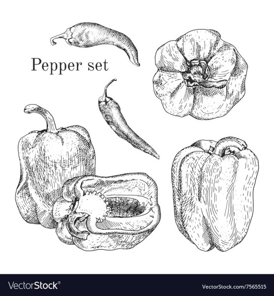 Перец в графике