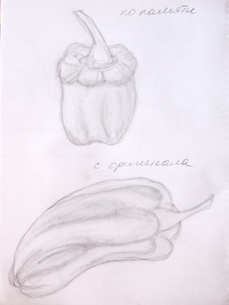 Перец рисунок поэтапно